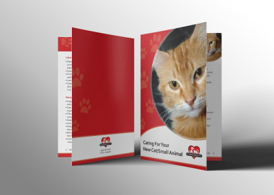 Cat Adoption Brochure