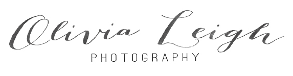 Her elegant, simple logo also does not distract from her photos.